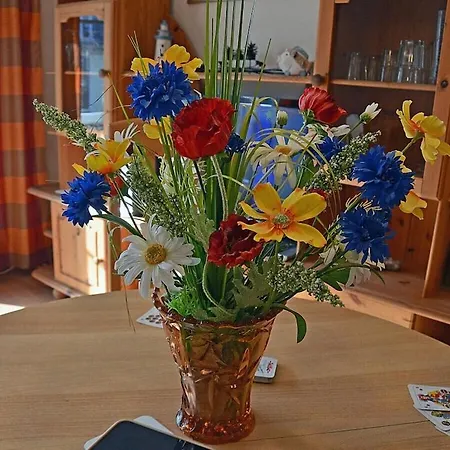 Casa vacanze In With Swimming Pool Glowe